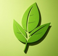 Proactive Environmental Compliance (RoHS, REACH, WEEE)